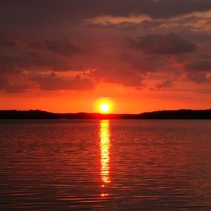 Meet your Posher, Dan